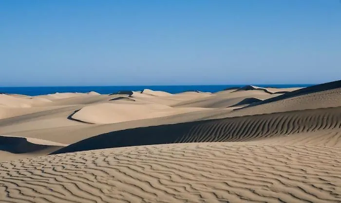 Corona Blanca Playa del Ingles